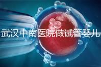 武漢中南醫院做試管嬰兒需要多少錢：2025年這些試管收費有變動