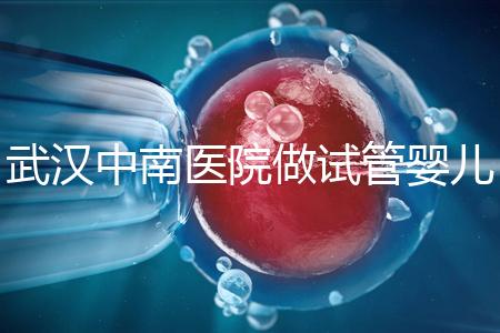 武漢中南醫(yī)院做試管嬰兒需要多少錢:2025年這些試管收費(fèi)有變動