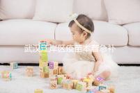 武漢江岸區疫苗本著急補辦快進來，證件齊全到手要不了多久