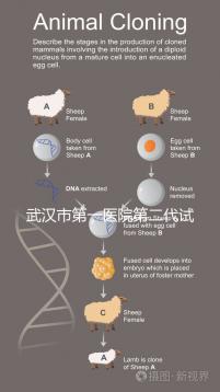 武漢市第一醫院第二代試管怎么樣？2024年助孕成功率數據公布
