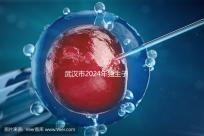 武漢市2024年獨生子女補貼政策已經(jīng)實施，領(lǐng)取流程更加規(guī)范