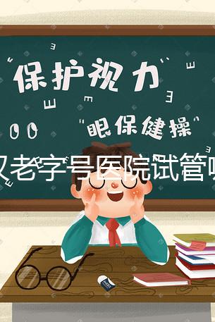 武漢老字號醫(yī)院試管哪個醫(yī)生好？2025助孕成功率高的大夫參考