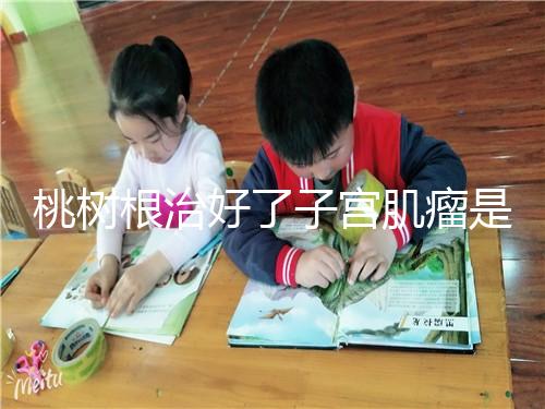 桃樹根治好了子宮肌瘤是謠言？和豬肉一起吃效果真不賴