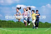 櫻桃的功效與作用（三種人不宜吃櫻桃）