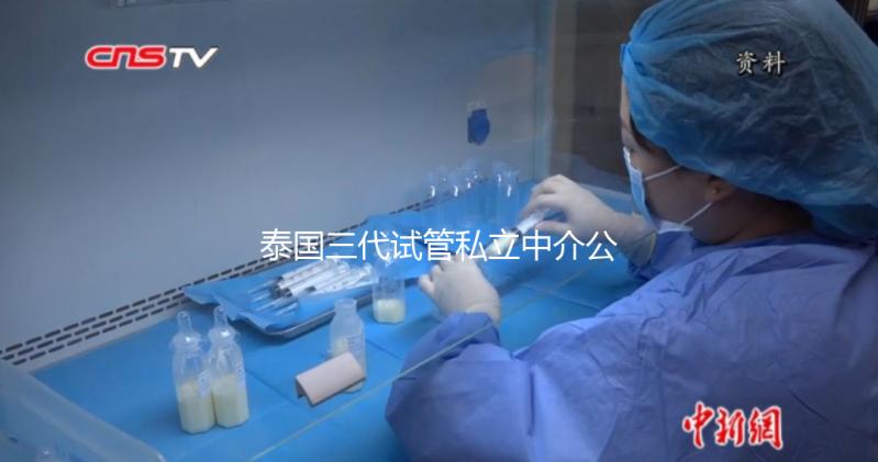 泰國三代試管私立中介公司推薦，排名一目了然，輕松選擇！