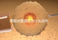 泰國試管嬰兒為什么會(huì)失敗?原因有5個(gè),第一個(gè)我們常說