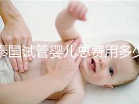 泰國試管嬰兒總費用多少（泰國試管嬰兒總費用多少錢）