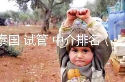 泰國 試管 中介排名(泰國 試管 中介排名前十)