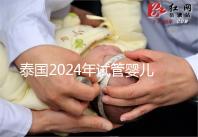 泰國2024年試管嬰兒攻略索引：證書，結婚證是硬條件