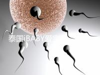 泰國iBABY愛寶貝：中介不輕信，甄別試管嬰兒真假宣傳