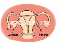 海口新生兒醫(yī)保卡辦理流程更新，附2024秀英、龍華區(qū)手續(xù)