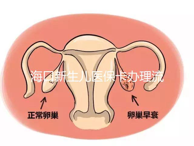 ?？谛律鷥横t保卡辦理流程更新，附2024秀英、龍華區手續