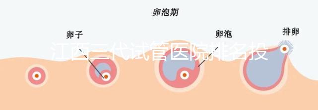 江西三代試管醫院排名投票截止！附前三位成功率和費用詳解