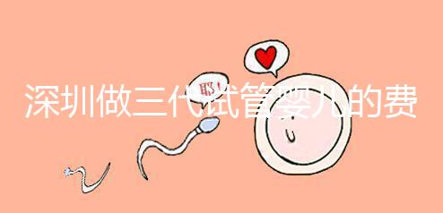 深圳做三代試管嬰兒的費用大概多少錢一次?