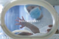 深圳北大醫院試管嬰兒（深圳北大醫院試管嬰兒要多少錢）