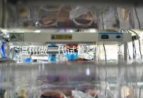 溫州做一代試管嬰兒的費用明細來了！2025年最新報價3