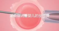 湖南做試管嬰兒的全部費用大概是多少錢？附湖南試管嬰兒醫院排名一覽！