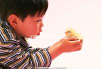 子宮康停藥時間別錯過，60秒了解其多久見效