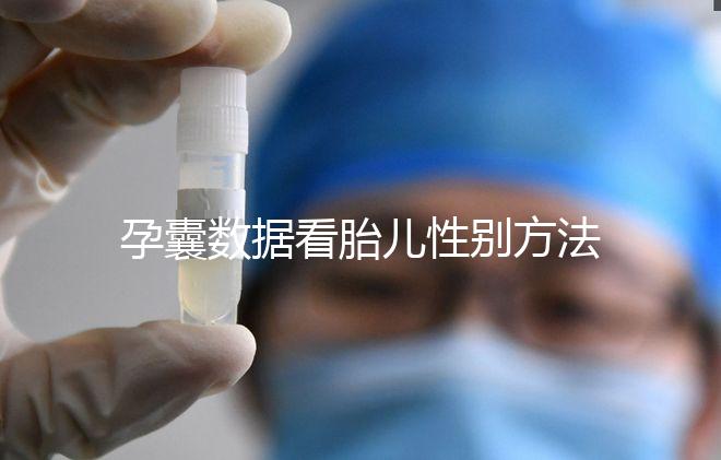 孕囊數據看胎兒性別方法，尺寸兩大一小是男孩瞎扯