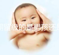 孕期留級的是男孩還是女孩別瞎猜，生兒子多是偶然或謠傳