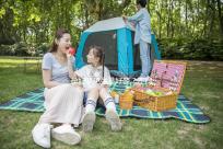 孕婦夢見牛是好夢？不同情形夢境寓意分析