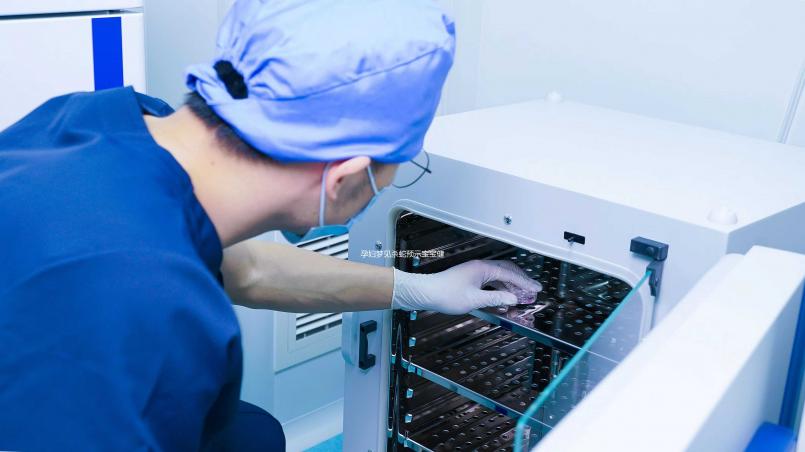 孕婦夢見殺蛇預示寶寶健康？相關胎夢解讀