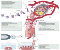 學醫(yī)實習醫(yī)院