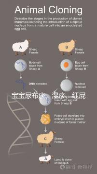 寶寶尿布疹、濕疹、紅屁股傻傻分不清？4點區別輕松診斷