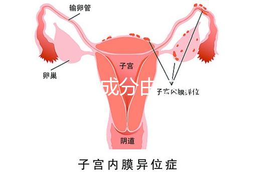寶寶金水成分由這4種中藥材構(gòu)成,對寶寶有益無害