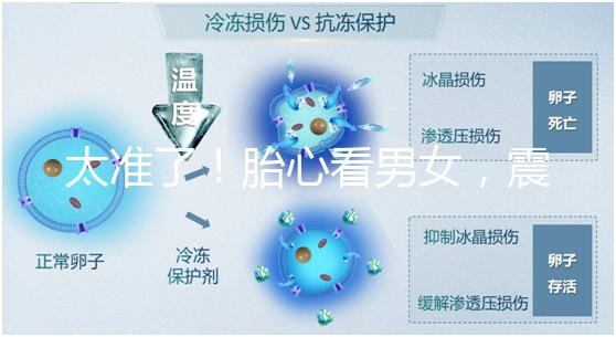 太準了!胎心看男女,震驚結(jié)果大于150就一定是女孩