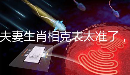 夫妻生肖相克表太準了，丑牛和午馬結合真犯“沖”