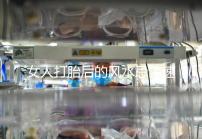 女人打胎后的風(fēng)水忌諱速來觀看，破解方法或能起關(guān)鍵作用