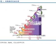 女性生**有哪些注意事項(xiàng)？