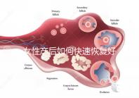 女性產后如何快速恢復好身材？