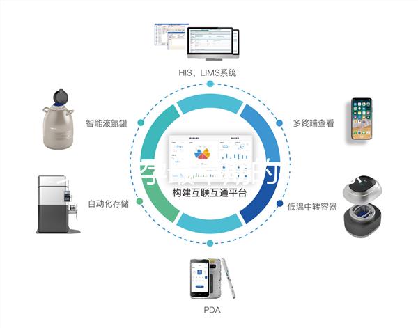 女性懷孕最早期的微妙感覺，同房5周腰酸疑似有身孕