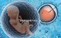 如果囊胚移植不成功，身體會有什么反應？除腹痛外，這三個方面也需要注意