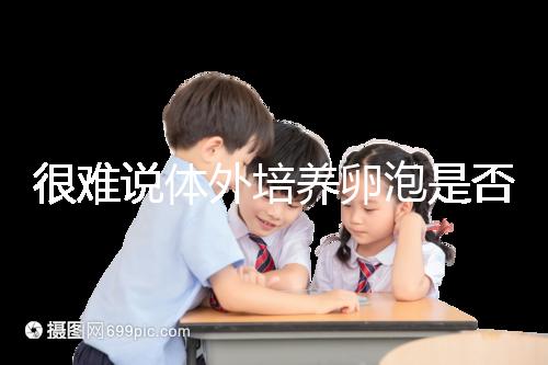 很難說體外培養卵泡是否懷孕竇卵泡質量高或100%實現夢想