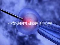 小女孩向禮讓司機行公主禮，這家庭教育得到網友們認可