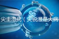 尖圭濕疣（尖銳濕是大病還是小?。? /></a></div><ins draggable=