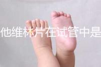 屈他維林片在試管中是否有副作用，導致胎停不是空穴來風