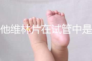 屈他維林片在試管中是否有副作用，導致胎停不是空穴來風