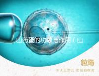 山藥蛋的功效與作用（山藥蛋為何盡量少吃）