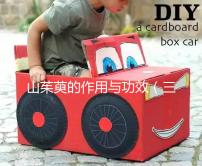 山茱萸的作用與功效（三種人不能吃山茱萸）