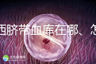 山西臍帶血庫(kù)在哪、怎么保存答案在這，太原存20年費(fèi)用竟…