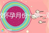 歲數懷孕月份一單一雙懷兒子幾率?。磕鞘悄銢]按照農歷來