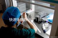 快速懷孕有秘訣！卵泡破裂后多久同房是關(guān)鍵