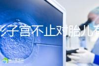 弓形子宮不止對胎兒有危害！這4種影響都不能忽視