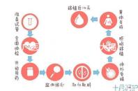 廣醫(yī)三院取精多少錢(qián)大揭秘，一萬(wàn)都包括什么速看