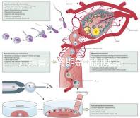 廣東育兒假期是強(qiáng)制規(guī)定！深圳包不包括雙休日這均有答復(fù)