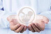 年周期數排行前三？泰國做試管嬰兒這幾家醫院了解下